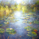 lily pond4